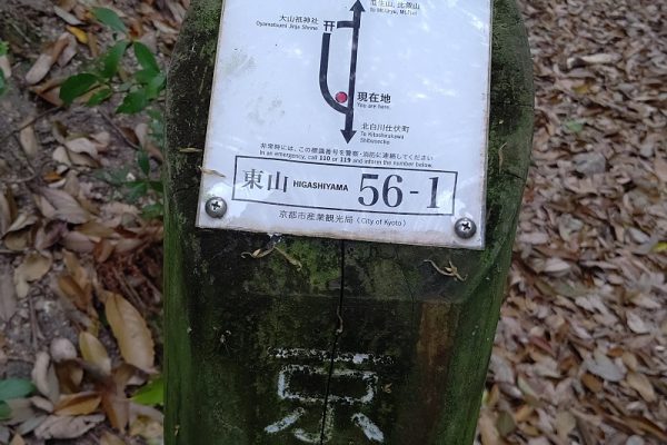 早朝散歩　Part4