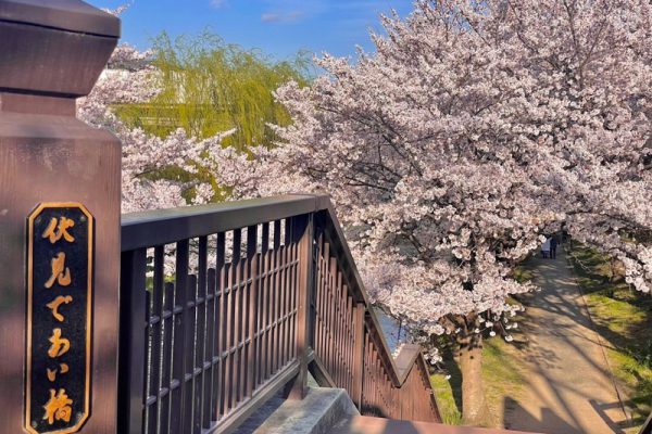 京都の桜シリーズ　Part2