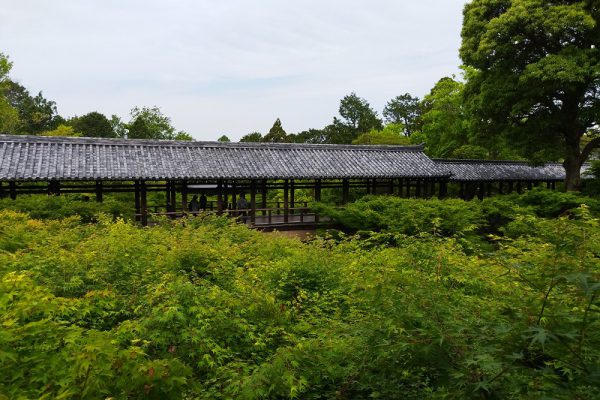 東福寺に行ってきました