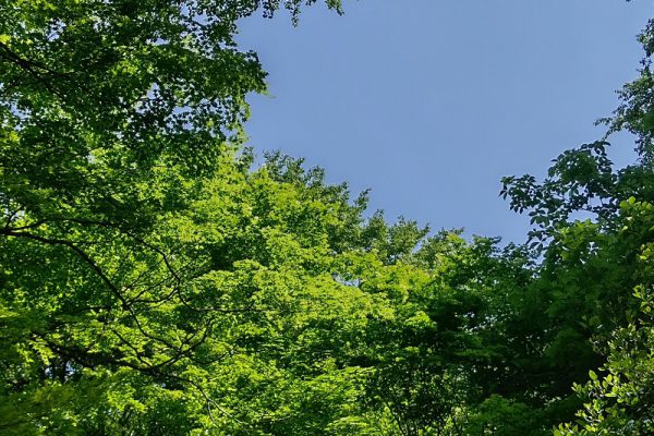 早朝散歩　Part6