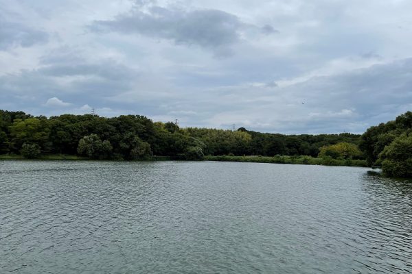 山田池公園　枚方市