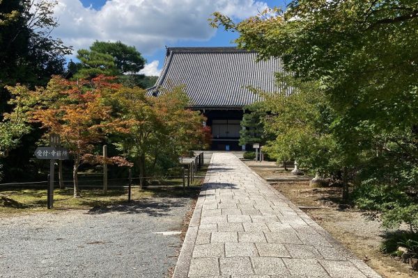 まだ、残暑なん