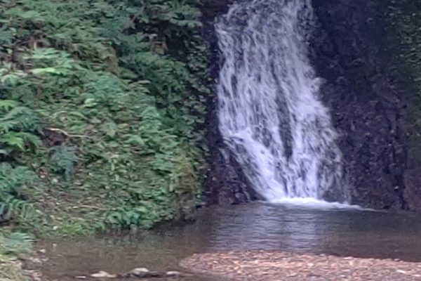 オッサンの山ブラ日記  Part6