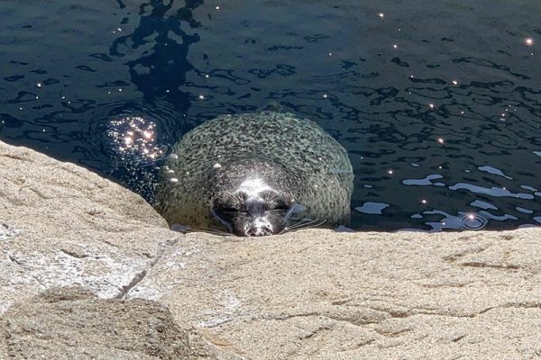 初めての京都水族館