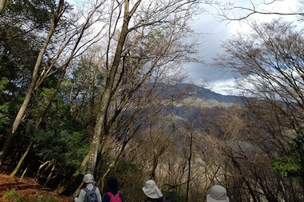 オッサンの山ブラ日記　Part10