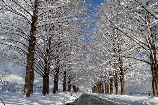 オッサンの山ブラ日記　Part12