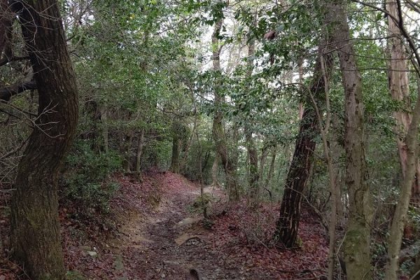 オッサンの山ブラ日記!Part14