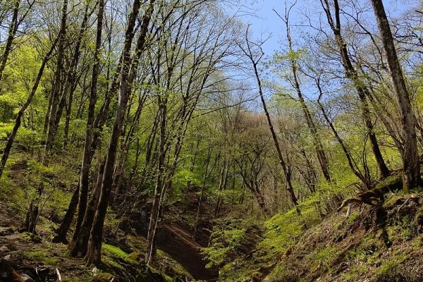 オッサンの山ブラ日記Part15