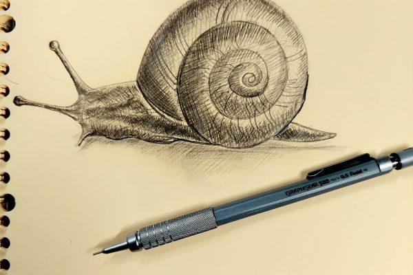 私の感情表現技法