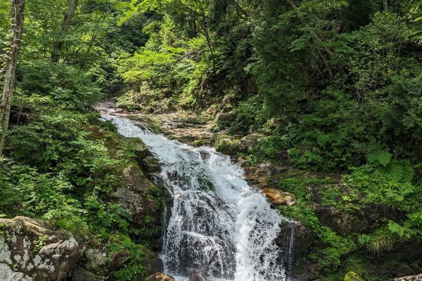 オッサンの山ブラ日記Part20