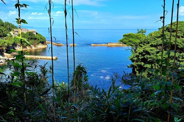 ひと夏に新たな夢を抱いて