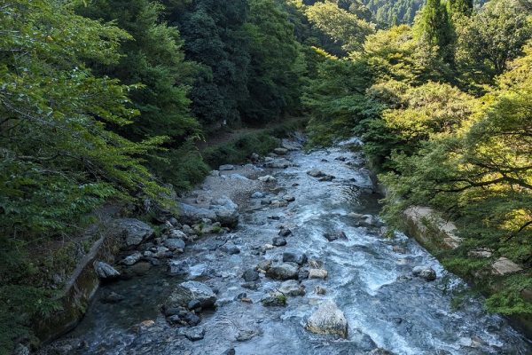 オッサンの山ブラ日記Part25