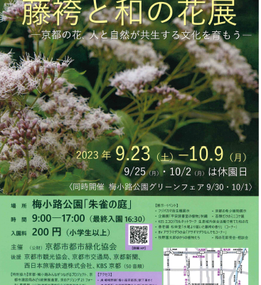 藤袴と和の花展