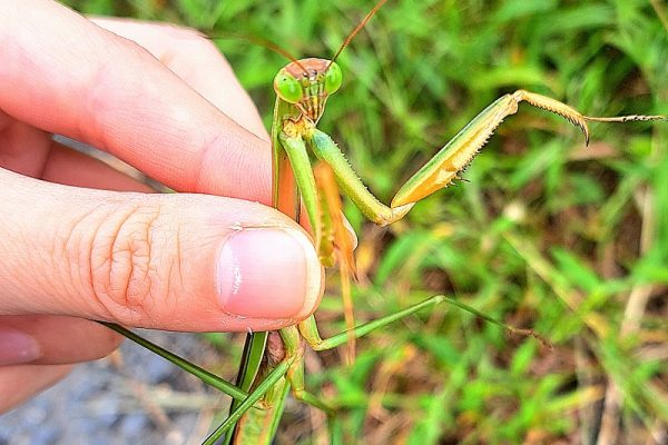 思いがけない出会い