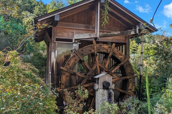 オッサンの山ブラ日記Part28