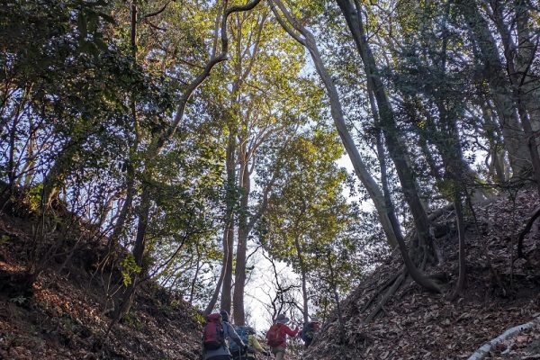 オッサンの山ブラ日記Part32