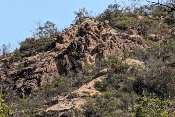 オッサンの山ブラ日記Part36