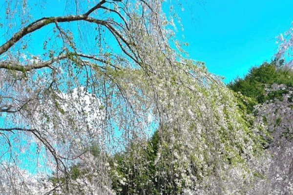 ユニークな美術館