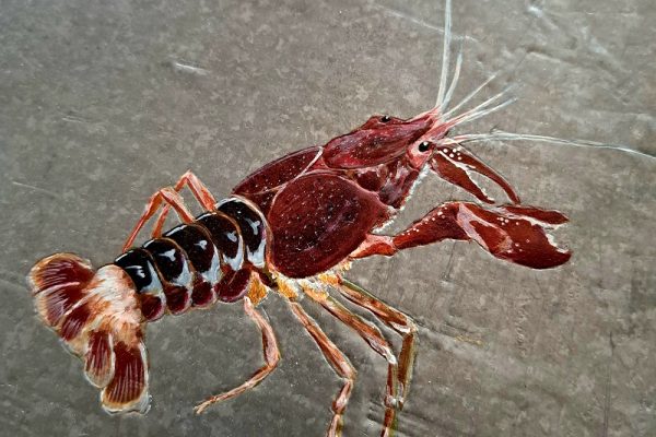 作品を通じて自分と向き合う