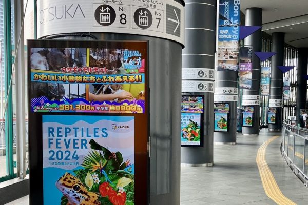 初夏のボランティア活動