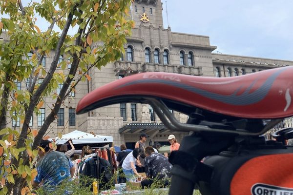 ハシゴ外されて