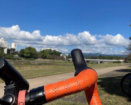 ハシゴかけなおした