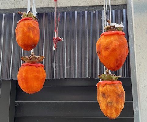 もうすぐ食べごろ(*´˘`*)♥