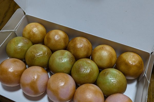 念願のまるもち