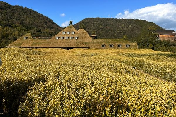 🥮バームクーヘンもカステラも美味しいお店🧇