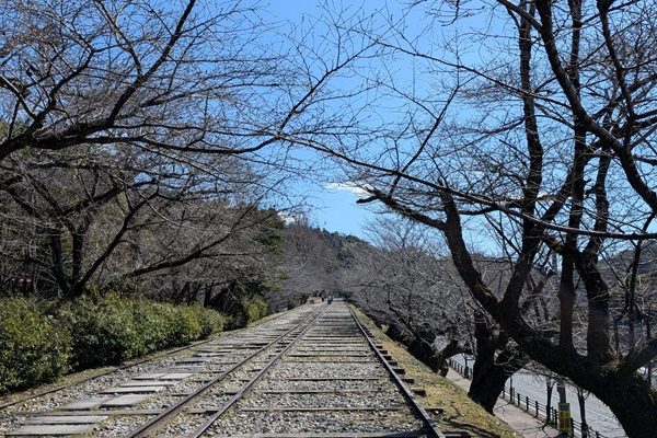 オッサンの山ブラ日記Part51