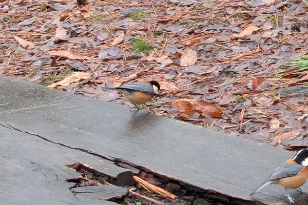 オッサンの今日の出来事