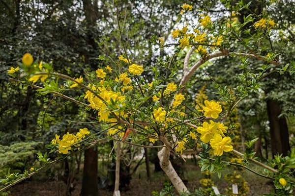 オッサンの自然観察！