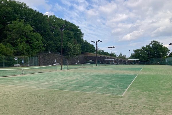 初夏の太陽が丘