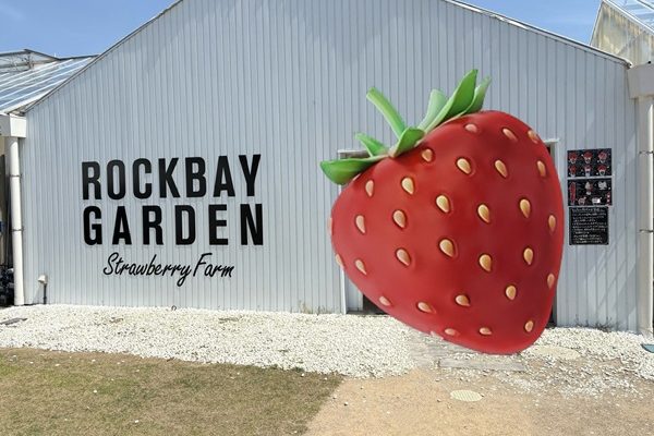 🍓いちご狩り🍓