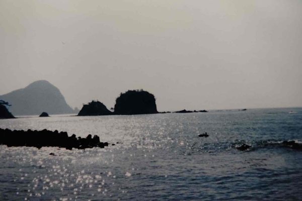 母の日と無縁坂