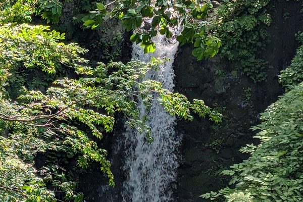 夜叉ヶ池から夜叉丸山へ！