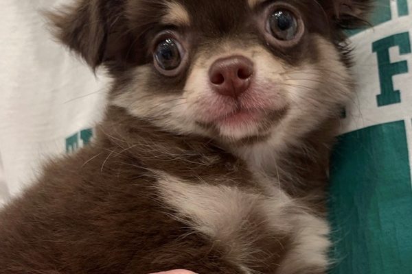 I have a new family♬