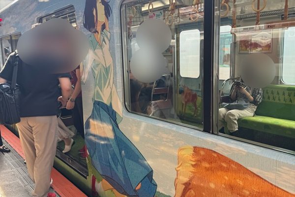 偶然の遭遇！「ならしかトレイン」