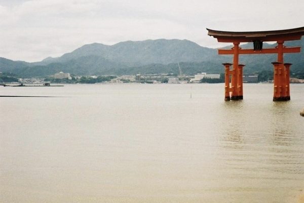 フィルム現像📷ʾʾ