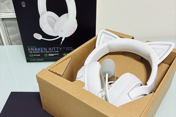 視聴者様からのプレゼントと最近のアナコンダさん