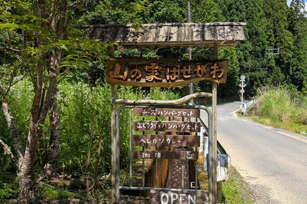 京都トレイル北山西コースの紹介です！