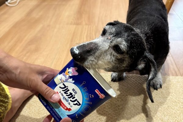 うちのおじいちゃん