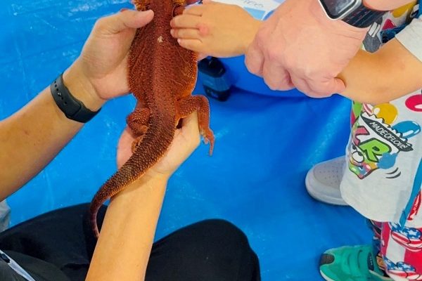 🚤ボートレース場でイベント盛り沢山✨