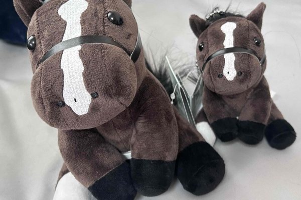 久しぶりの京都競馬場