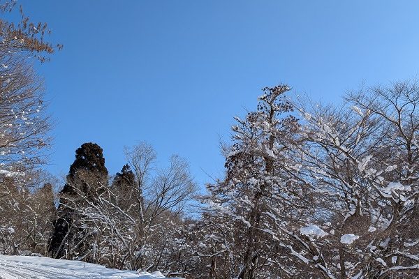 雪山ハイキング！