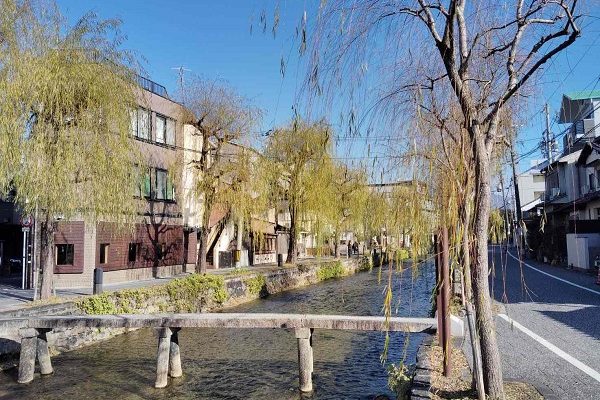 絶好な散歩日和