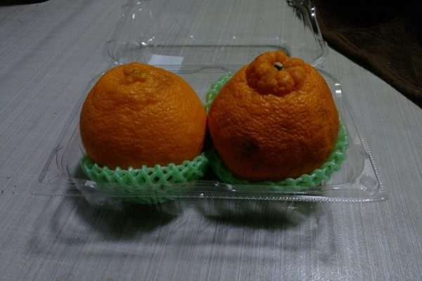 我が家の季節の果物といえば…